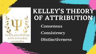 Kelleys theory of attribution [upl. by Jaylene]