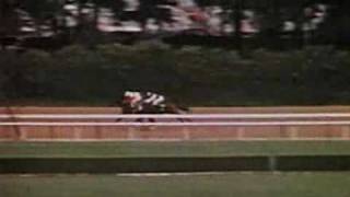 Ruffian vs Foolish Pleasure  The Great Match 1975 [upl. by Baxter]