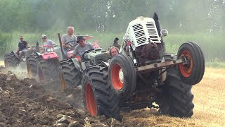 Old tractors  Landini testacalda FIAT SAME  Aratura amp show  Roncoferraro MN [upl. by Adnamor]