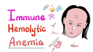 Immune Hemolytic Anemia intro [upl. by Eimmelc430]