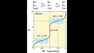 Amino Acid Titration Curve Part 1 [upl. by Aleb]