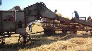 2012 Martin Threshing [upl. by Markos337]