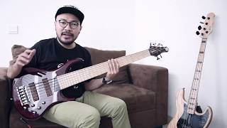 Indonesian Bass Channel  MTD KINGSTON Z6 [upl. by Eivad]