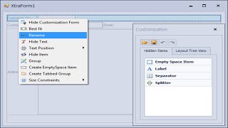 DevExpress Tutorial  Layout Control  FoxLearn [upl. by Lichter]