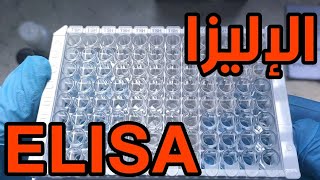 شرح نظري وعملي تقنية الإليزا ELISA Enzyme Linked Immunosorbent Assay [upl. by Annaerdna]