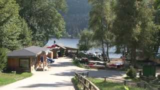 Naturcampingplatz Weiherhof am Titisee [upl. by Damara]