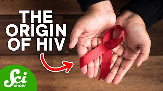 How HIV First Started in Humans [upl. by Yerag312]