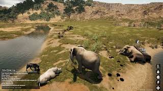 Animalia Survival Gameplay  Animal Migration [upl. by Ahoufe]