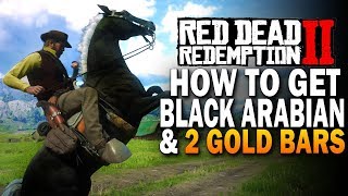 How To Get The Black Arabian amp 2 Gold Bars Red Dead Redemption 2 Horses RDR2 [upl. by Minetta]