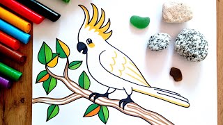 HOW TO DRAW a Parrot  Cockatoo  easy drawing for kids  coloring with markers [upl. by Buddy280]