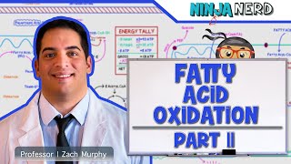 Metabolism  Fatty Acid Oxidation Part 2 [upl. by Bloom]