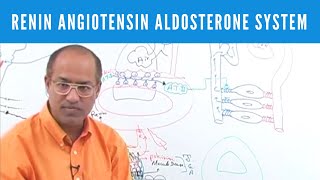 Renin Angiotensin Aldosterone System  RAAS👨‍⚕️ [upl. by Nnairahs]