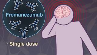 Intro to Head CT Part II Evaluation of Ischemic Stroke [upl. by Guerra278]