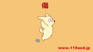 予防救急と応急手当「傷」 [upl. by Chita]