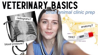 VETERINARY BASICS Things you should know before going into a clinic     Vet School [upl. by Inus161]