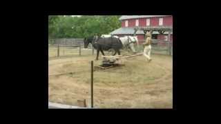 Horsepowered threshing at Slate Run Farm [upl. by Lepp658]