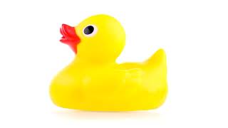 1 Hour Rubber Duck Squeak [upl. by Marya]