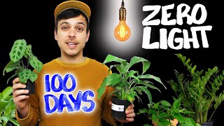 We Tested Houseplants In ZERO LIGHT  The results were shocking [upl. by Salvucci87]