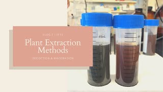 Plant Extraction Methods  Decoction and Maceration  JPTV [upl. by Llenrahs202]