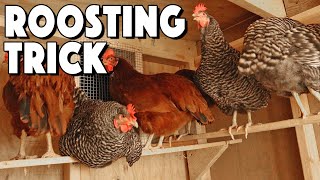 Chicken Roosting Bars Ideas To Help Your Flock Roost  Special Trick That SAVED Us [upl. by Enrobso]