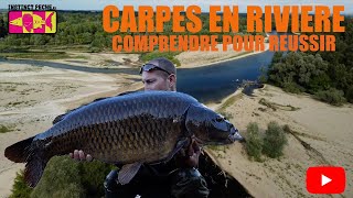 CARPES EN RIVIERE quotCOMPRENDRE POUR REUSSIRquot [upl. by Amre]