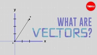 What is a vector  David Huynh [upl. by Tijnar]