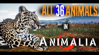 Animalia All 36 Animals Coming to the African Survival Game [upl. by Nillok644]