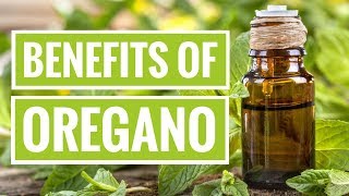 4 ScienceBased Health Benefits of Oregano [upl. by Ardnosal]