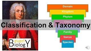 Classification and Taxonomy [upl. by Ambrose384]