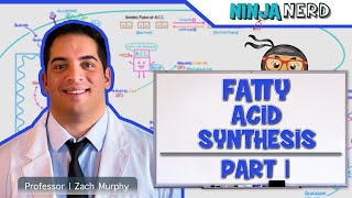 Metabolism  Fatty Acid Synthesis Part 1 [upl. by Toft586]