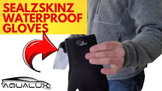 Seal Skinz Waterproof Gloves  Best Waterproof Gloves For Auto Detailing In 2021 [upl. by Solly401]