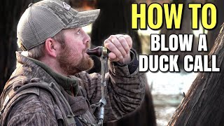 REAL Mallard Duck Sounds  Duck Calling For Beginners [upl. by Witt]