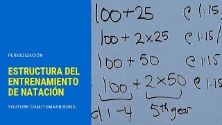 NATACIÓN Estructura del entrenamiento [upl. by Eimat]