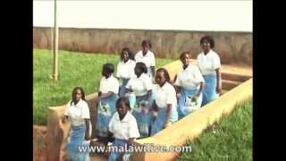 Chitsitsimutso Choir Mtima Wanu Usavutike Malawi Gospel Music [upl. by Godding]