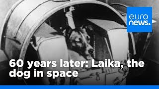 60 years on  Laika the dog in space  euronews 🇬🇧 [upl. by Graaf]