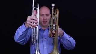 Trumpet vs Cornet Similarities and Differences [upl. by Cogn]