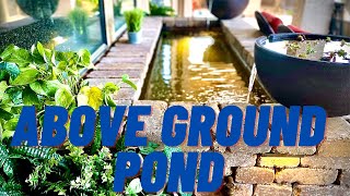 Above Ground FORMAL Patio Pond [upl. by Bernardi999]