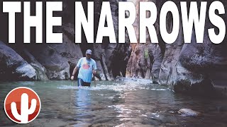 A Completionists Guide to Hiking THE NARROWS Bottom Up  Zion National Park [upl. by Laiceps]