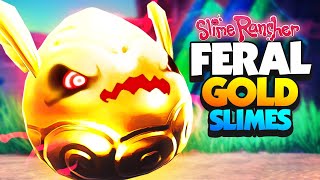 Making FERAL GOLD SLIMES with Mods  Slime Rancher Mods [upl. by Einafets663]