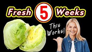 How to Keep Lettuce Fresh Longer [upl. by Moyna]