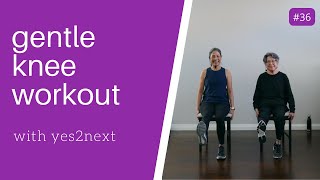 GENTLE KNEE WORKOUT  Seniors Beginner Exercisers [upl. by Ludie215]