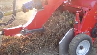 Dry bean harvesting  threshing  Double Master IV  Sweere [upl. by Farwell983]