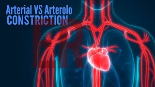 vasoconstriction and vasodilation [upl. by Attenal]