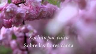 Xopan cuicatl  Canto de primavera  Poema de Nezahualcóyotl [upl. by Yhtac]