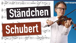 Schubert Ständchen quotLeise flehen meine Liederquot No 4 of Schwanengesang  Violin Sheet Music [upl. by Etteve120]