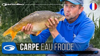 Astuces Carpe au Coup en hiver et eau froide [upl. by Melissa]