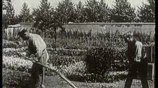 quotThe Gardenerquot or quotThe Sprinkler Sprinkledquot Lumière Brothers France 1895 [upl. by Helyn]