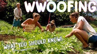 HOW TO WWOOF FOR BEGINNERS  THE BASICS FOR WORK  CHEAP TRAVEL [upl. by Leatri]