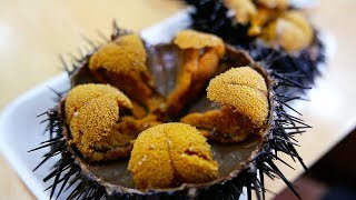 Japanese Street Food  GIANT SEA URCHIN Uni Sashimi Japan Seafood [upl. by Katherin]