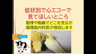 症状別で心エコーで見てほしいところ動悸や胸痛でどこをみるか循環器内科医が解説します [upl. by Eidualc]